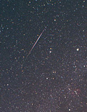 Orionid Meteor