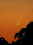 Comet C/2006 P1 (McNaught)