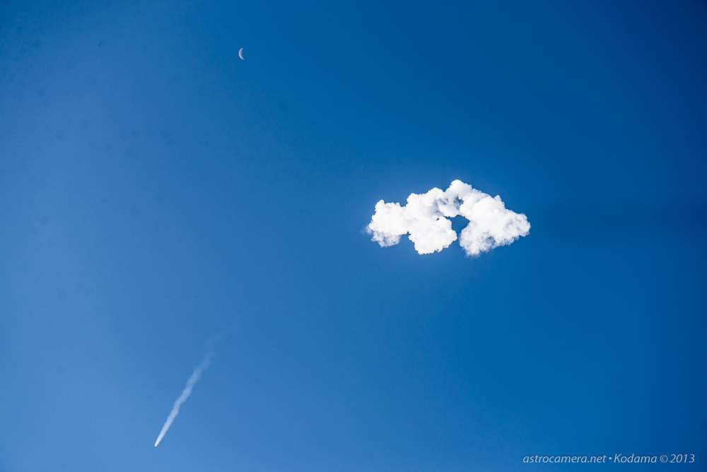 Falcon, 'Smoke' Ring, and Moon