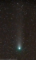Comet 21P/Giobacini-Zinner