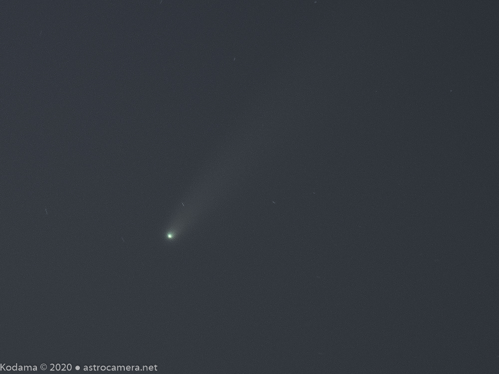 C/2020 F3 (NEOWISE)